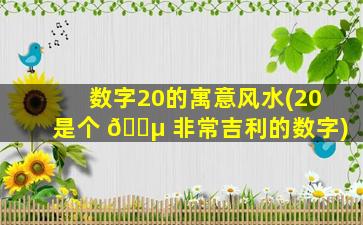 数字20的寓意风水(20是个 🐵 非常吉利的数字)